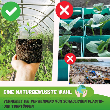 Jarden® manuālā augsnes bumbu prese – 4 kvadrātveida augsnes bumbiņas (5x5 cm) – Izturīga nerūsējošā tērauda augsnes podu prese – Ideāli piemērota stādiem un sēklām