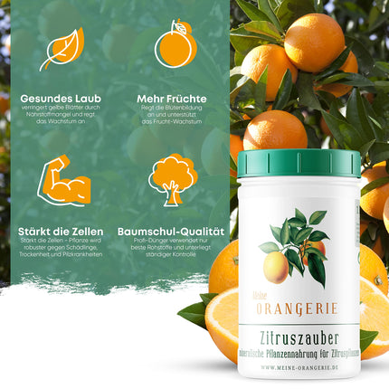 Mans Orangery citrusaugļu mēslojums visiem citrusaugiem [1kg] - augstākās kvalitātes augu mēslojums - profesionāls citrusaugļu mēslojums citronkokiem, apelsīnkokiem, laimiem un daudziem citiem (1000 grami)