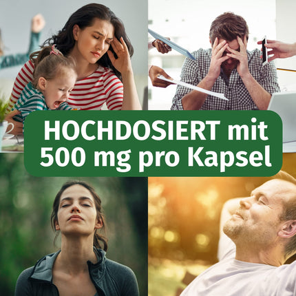 Rhodiola Rosea kapsulas — augsta deva: 500 mg vienā kapsulā ar 3% rozavīniem un 1% salidrosīdu — 4 mēnešu krājumi (120 kapsulas) — Rhodiola Rosea — aptiekas kvalitāte — Green Naturals®
