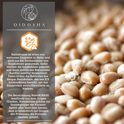 QIDOSHA® nāttokināzes kapsulas, augsta deva, visaugstākā enzīmu aktivitāte ar 28000 FU/g, 240 kapsulas stikla burkā, vegānas, bez K2 vitamīna, gala produkts bez sojas