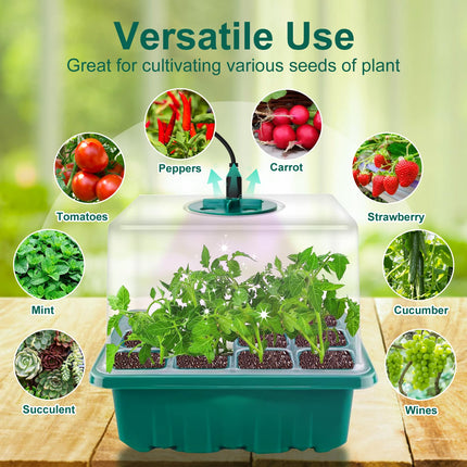FORMIZON siltumnīcas pavairošanas paplāte, 5 iepakojumu mini siltumnīcas pavairošana ar augstākiem vākiem, 2 instrumenti, 10 etiķetes, iekštelpu siltumnīcas pavairošanas kaste ar laika regulatoru, regulējamu spilgtumu