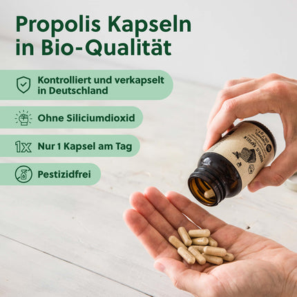 beegut ORGANISKĀ propolisa kapsulas, 60 kapsulas augu izcelsmes kapsulas apvalkā ar ORGANISKĀ propolisa ekstraktu, ilgtspējīgs iepakojums