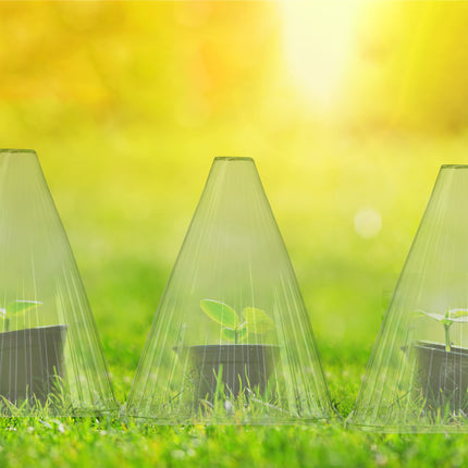 Relaxdays augu cepuru komplekts (24 gab.), stādīšanas palīglīdzeklis, augu aizsardzība pret salu, gliemežiem un putniem, PVC, augu pārsegs, zaļš 10026432