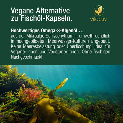 VITACTIV Omega 3 aļģu eļļas kapsulas - 60 kapsulas - jūras Omega 3 vegāns, augsta deva ar 1000 mg mikroaļģu eļļas vienā dienas devā - 450 mg Omega-3 taukskābes DHA un EPA (2:1) - sirdij, smadzenēm, acīm - laboratoriski pārbaudīts