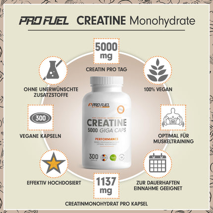 Kreatīna 5000 Giga kapsulas - 5000 mg kreatīna dienā - lielas kreatīna devas kapsulas ar 1137 mg kreatīna monohidrāta vienā kapsulā - kreatīna monohidrāta kapsulas bez piedevām, laboratoriski pārbaudītas un 100% vegānas - 300 kapsulas
