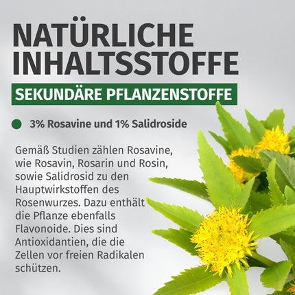 Rhodiola Rosea kapsulas — augsta deva: 500 mg vienā kapsulā ar 3% rozavīniem un 1% salidrosīdu — 4 mēnešu krājumi (120 kapsulas) — Rhodiola Rosea — aptiekas kvalitāte — Green Naturals®