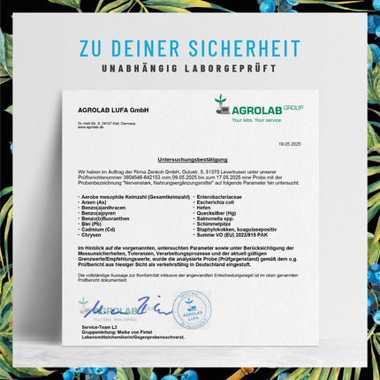 B vitamīnu komplekss (B1-B12) ar 3 aktīviem kofaktoriem - Visi 8 B vitamīni - Vegānu B vitamīnu komplekss - Augstas devas B vitamīnu komplekss ar kofaktoriem - Nervus stiprina *
