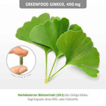 Ginkgo Biloba, augsta deva, 400 mg - 120 kapsulas, vegāns. Tīrs lapu ekstrakts ar B5 vitamīnu – atbalsta kognitīvās funkcijas. BEZ mākslīgām piedevām, laboratoriski pārbaudīts. No Greenfood.