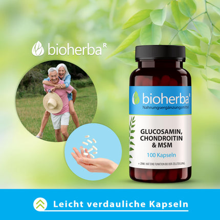 Glikozamīns, hondroitīns MSM + cinks – 100 kapsulas ar cinku normālai kaulu funkcijai un šūnu aizsardzībai no BIOHERBA PZN 17190938