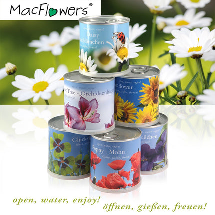 MacFlowers ziedu dāvanu komplekts skārda kārbā - čili - piparmētra
