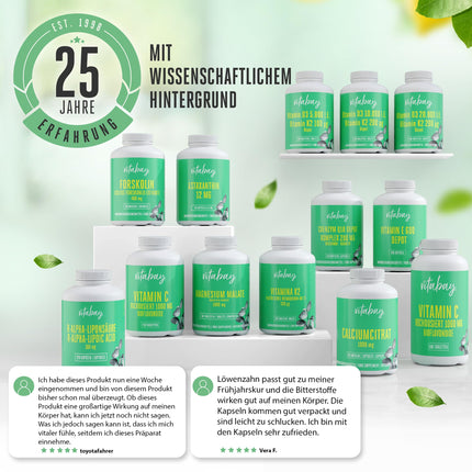 Vitabay pienenes saknes ekstrakts 500 mg - 120 pienenes kapsulas, augsta deva un vegāns - pienenes ekstrakts Pieneņu ekstrakts Pienenes - pienenes saknes kapsulas Pienene Taraxacum Laboratorijā pārbaudīts
