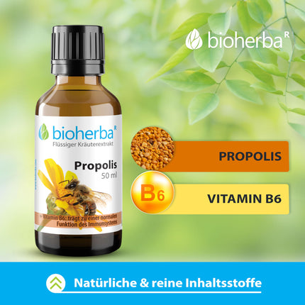 Propolisa pilieni bezalkoholiski – 50 ml tinktūra ar B6 vitamīnu – augu izcelsmes uztura bagātinātājs no BIOHERBA PZN 17187037