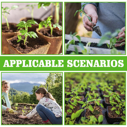 Leikurvo iekštelpu siltumnīcas stādu kaste, atkārtoti lietojama stādu paplāte ar 12 stādīšanas caurumiem un paceltu vāku, mini siltumnīcas stādu paplātes augiem, garšaugiem, ziediem, dārzeņiem un augļiem