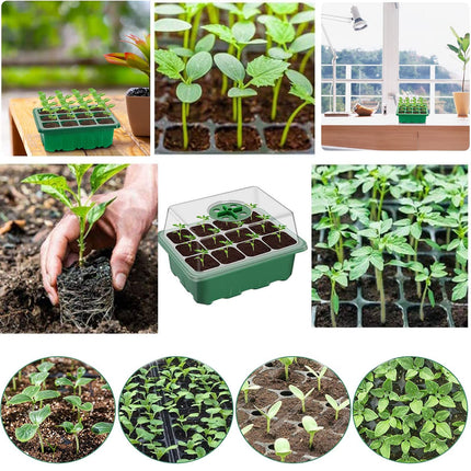 Iekštelpu siltumnīcas audzēšanas kaste, 3 gabali ar 36 šūnām, mini siltumnīcas audzēšanas komplekts, stādu sākuma paplātes, siltumnīcas audzēšanas paplāte ar vāku un ventilāciju stādiem
