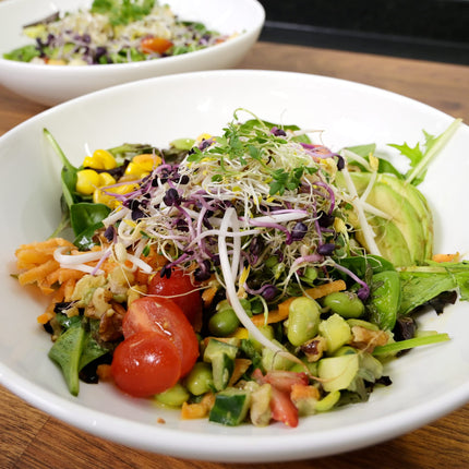 Green SEEDS dīgšanas burciņa, 2 gab. komplekts, 1000 ml, ar augstas kvalitātes nerūsējošā tērauda sieta vāku, statīvu + BEZMAKSAS dīgšanas ABC [Drukātas versijas]
