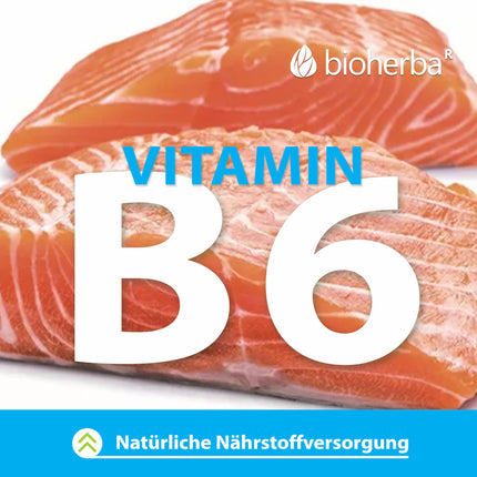 Pieneņu sakne 350 mg 100 kapsulas, augstas kvalitātes komplekss ar B6 vitamīnu aknu veselības atbalstam no BIOHERBA