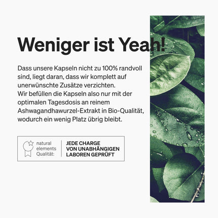 Organiskā ašvaganda – augstākās kvalitātes KSM-66® izejviela (180 kapsulas ar virs vidējā līmeņa diapazonu) – 5% vitanīdu saturs – laboratoriski pārbaudīta, vegāna un ar augstām devām