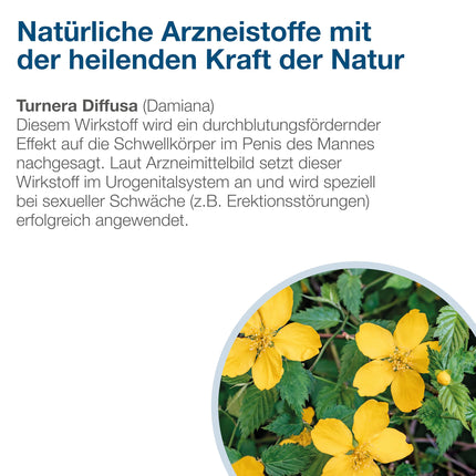 Neradin tabletes - potences pastiprinātājs vīriešiem ar Damianu: bezrecepšu zāles seksuāla vājuma, piemēram, erektilās disfunkcijas, ārstēšanai - testosterona pastiprinātājs spontānam seksam - 40 tabletes