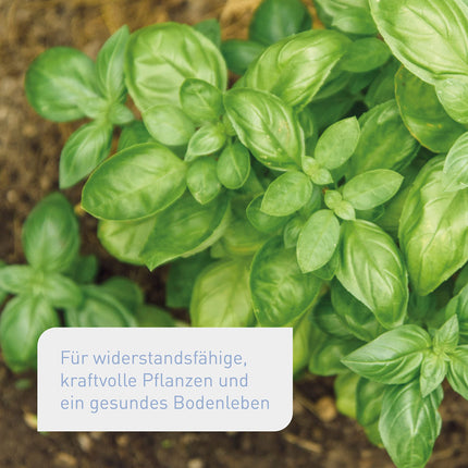 Plantura organiskais universālais mēslojums ar ilgstošu iedarbību, visiem augiem, bez dzīvnieku izcelsmes un bioloģisks, 1,5 kg
