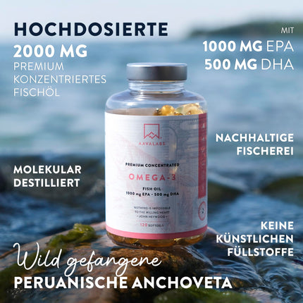 Omega 3 kapsulas, augsta deva 2000 mg Omega 3 eļļa 1000 mg EPA + 500 mg DHA vienā dienas devā (2 Premium Omega 3 zivju eļļas kapsulas) - Omega-3 taukskābju kapsulas - 120 kapsulas Zivju eļļa Omega 3 augsta deva 60 dienas