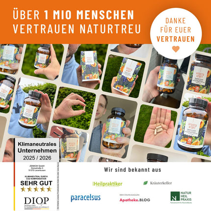 NATURTREU® Prostakraft - 120 vegāniskas kapsulas ar augstu zāģzobainās palmas ekstrakta devu (500 mg), nātru, ķirbju sēklu ar E vitamīnu, cinku, selēnu - 2 mēnešu krājums