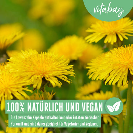 Vitabay pienenes saknes ekstrakts 500 mg - 120 pienenes kapsulas, augsta deva un vegāns - pienenes ekstrakts Pieneņu ekstrakts Pienenes - pienenes saknes kapsulas Pienene Taraxacum Laboratorijā pārbaudīts