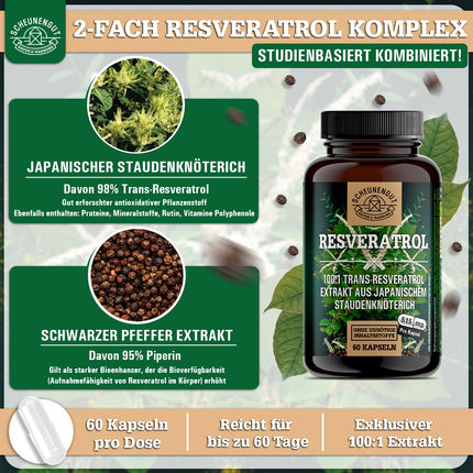 Resveratrols - 1000 mg dienā - SVARĪGI: 100:1 ekstrakts (= 100 000 mg Japānas dižsūrenes saknes) + piperīns | 98% trans-resveratrola liela deva | Laboratorijā pārbaudīts -DE- SCHEUNENGUT®