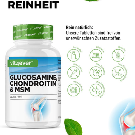 Glikozamīna hondroitīns MSM - 365 tabletes - augsta deva ar 2000 mg dienā - 3 mēnešu krājumi - bez nevēlamām piedevām