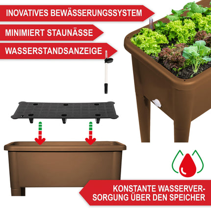 Onbest paaugstināta dobe/aukstais rāmis – ar pārsegu/ūdens indikatoru – izgatavots no izturīgas plastmasas – ideāli piemērots dārzam/terasei/balkonam – paaugstināta garšaugu dobe audzēšanai – puķu pods ar dārza instrumentiem (kafija)