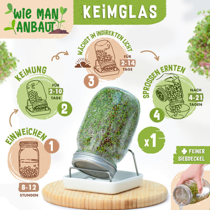 zengreens® organisko asnu audzēšanas komplekts – dīgšanas burciņa (1, 2 vai 3 gab.) – komplektā ietilpst dīgšanas burciņa, audzēšanas paplāte un dīgšanas sēklas – iekļauts 50 lappušu biezs ceļvedis un 10 daļu tiešsaistes video kurss
