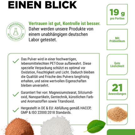 Šķiedrvielu kombinācija - 400 g pulvera ar psyllium sēklām, inulīnu (prebiotiku), ābolu šķiedrvielām, linsēklām - Augsts šķiedrvielu saturs - Vegāns - Ar dabīgu ananāsu garšu - Augstākās kvalitātes