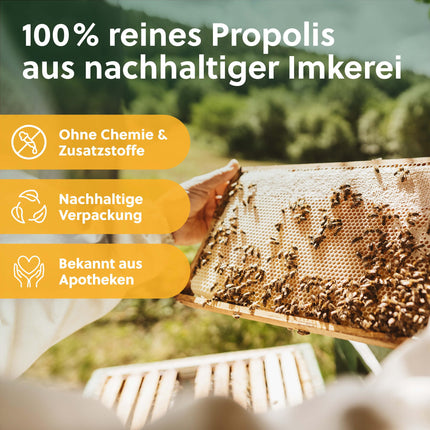 beegut ORGANISKĀ propolisa kapsulas, 60 kapsulas augu izcelsmes kapsulas apvalkā ar ORGANISKĀ propolisa ekstraktu, ilgtspējīgs iepakojums