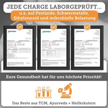 QIDOSHA® nāttokināzes kapsulas, augsta deva, visaugstākā enzīmu aktivitāte ar 28000 FU/g, 240 kapsulas stikla burkā, vegānas, bez K2 vitamīna, gala produkts bez sojas