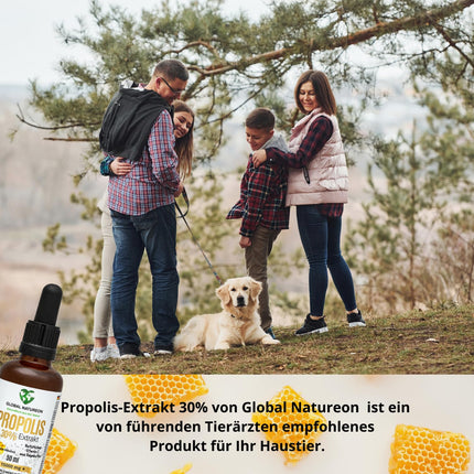 Propolisa ūdens šķīduma ekstrakts 30% bez spirta, liela pudele 50 ml, tinktūra piemērota bērniem un dzīvniekiem, polifenoli, flavonoīdi un bioflavonoīdi, 100% dabīgs, bez spirta