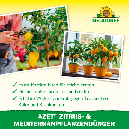 Neudorff Azet citrusaugļu un Vidusjūras augu mēslojums – organisks lēnas iedarbības mēslojums ar mikorizu veicina aromātisku augļu, piemēram, citronu, apelsīnu un olīvu, attīstību, 750 g, brūns