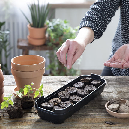 Biolan iekštelpu siltumnīca – mini audzēšanas komplekts 12 sēklām ar 36 kūdras nesaturošām audzēšanas tabletēm, izturīgs materiāls, caurspīdīgs vāks, ventilācijas dizains. Atkārtoti lietojams. Lieliski piemērots iesācējiem