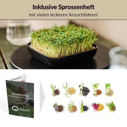 Otaro kressalātu audzēšanas paplātes, ieskaitot kressalātu sēklas (melnas) | Sāciet tūlīt | Elegants kressalātu siets, dīgšanas paplātes asniem, dīgšanas paplāte | Lieliski piemērots kā pateicības dāvanas (augstākās kvalitātes keramikas komplekts)