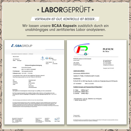BCAA 1000 Giga kapsulas - augsta deva ar 8000 mg BCAA - 300x BCAA kapsulas ar 1000 mg BCAA katrā optimālā attiecībā 2:1:1 - neaizvietojamās aminoskābes leicīns, izoleicīns un valīns - laboratorijā pārbaudīts, 100% vegāns