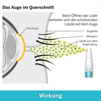 Ocuvers hialurona acu aerosols – ar liposomām – 15 ml acu aerosols sausām acīm – alternatīva acu pilieniem sausām acīm