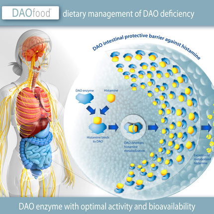 DAOfood - DAO deficīta diētas pārvaldība - 60 mini kuņģa sulu šķīstošo tablešu dozators - DAO enzīms
