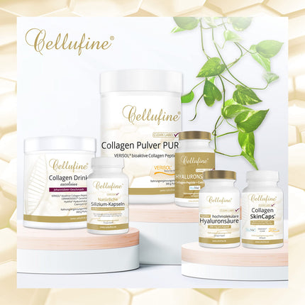 Cellufine® Premium VERISOL kolagēna pulveris 300 g | Skaistuma kolagēna pulveris ar bioaktīviem kolagēna peptīdiem | dabīgs un bez konservantiem, 120 porcijas ar ļoti augstu biopieejamību