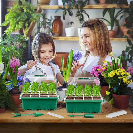 Verdenu 10 iepakojumu iekštelpu siltumnīcas pavairotājs, 120 šūnu mini siltumnīca stādu augšanas uzsākšanai, dīgšanas komplekti ar zaļu mini siltumnīcas grīdu, 8,4 cm augsts mitruma kupols
