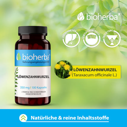 Pieneņu sakne 350 mg 100 kapsulas, augstas kvalitātes komplekss ar B6 vitamīnu aknu veselības atbalstam no BIOHERBA