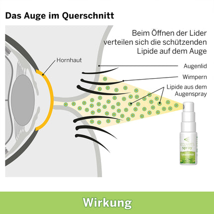 Ocuvers Lipostamin acu aerosols - ar eifrāziju – 15 ml acu aerosols pret apsārtušām acīm, bez konservantiem pat alerģiju gadījumā, alternatīva acu pilieniem