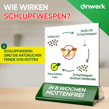 anwerk® Parazītiskās lapsenes pret pārtikas kodēm — 4 kartītes vienā piegādē — Efektīvi apkaro pārtikas kodes — Alternatīva kožu slazdiem, kožu aerosoliem un feromonu slazdiem (4 kartītes vienā piegādē)