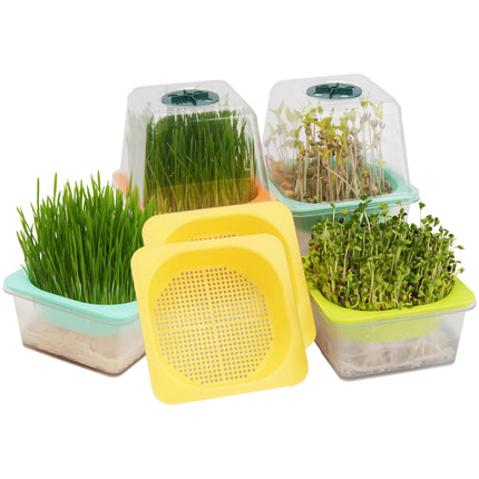 6 caurspīdīgu mikrozaļumu paplāšu komplekts ar plastmasas mitruma kupolu, BPA nesaturoša diedzēšanas paplāte, atkārtoti lietojama sēklu paplāte kaķu zāles, brokoļu, sojas pupiņu asnu un daudzu citu augu stādīšanai