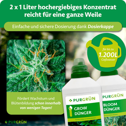 Purgrün® kaņepju mēslojuma komplekts 2 x 1 litrs – Ātras iedarbības minerālu formula – Pilna spektra barības vielas augšanai un ziedēšanai – Šķidrs mēslojums lietošanai iekštelpās un ārā – Automātiski ziedošām, sativu un indica šķirnēm