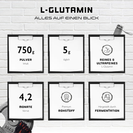 L-glutamīna pulveris - 750 g - Premium: Tīrs un īpaši smalks L-glutamīns - 100% mikronizēta L-glutamīna aminoskābe - Bez garšas Neitrāls - Laboratorijā pārbaudīts - Augsta deva - Vegāns