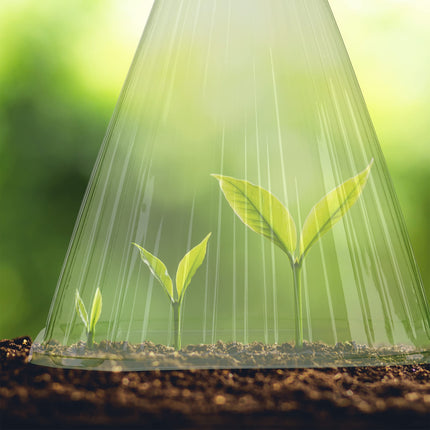 Relaxdays augu cepuru komplekts (24 gab.), stādīšanas palīglīdzeklis, augu aizsardzība pret salu, gliemežiem un putniem, PVC, augu pārsegs, zaļš 10026432