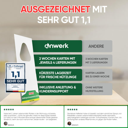 anwerk® Parazītiskās lapsenes pret pārtikas kodēm - 8 kartītes (2 kartītes ar 4 piegādēm) - Efektīvi apkaro pārtikas kodes - Alternatīva kožu slazdiem, kožu aerosoliem un feromonu slazdiem